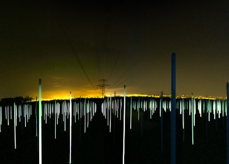 Flourescent lights under high tension lines show strength of electro-magnetic fields under the lines.  Photo courtesy of TreeHugger.com.  
Installation by Richard Box.  Photo by Peter Dibdin.